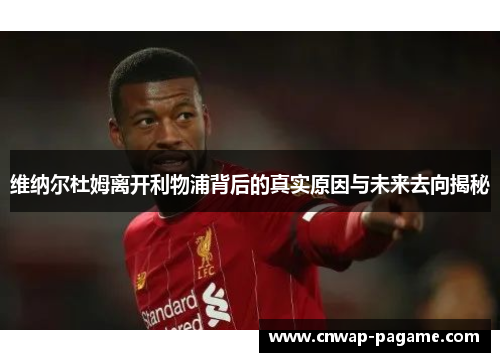 维纳尔杜姆离开利物浦背后的真实原因与未来去向揭秘