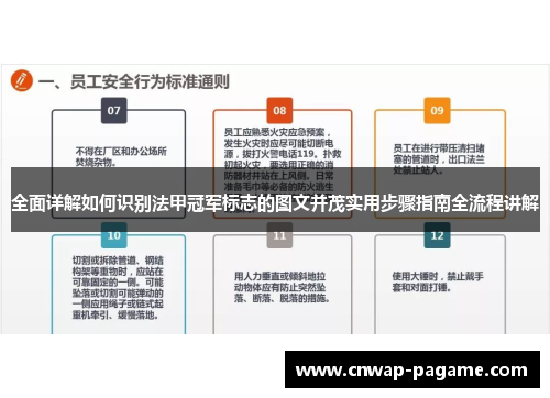 全面详解如何识别法甲冠军标志的图文并茂实用步骤指南全流程讲解 全面详解如何识别法甲冠军标志的图文并茂实用步骤指南全流程讲解