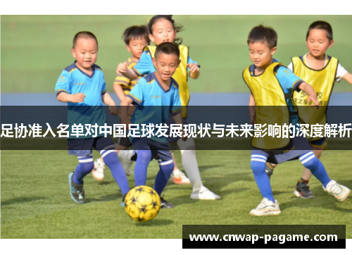足协准入名单对中国足球发展现状与未来影响的深度解析 足协准入名单对中国足球发展现状与未来影响的深度解析