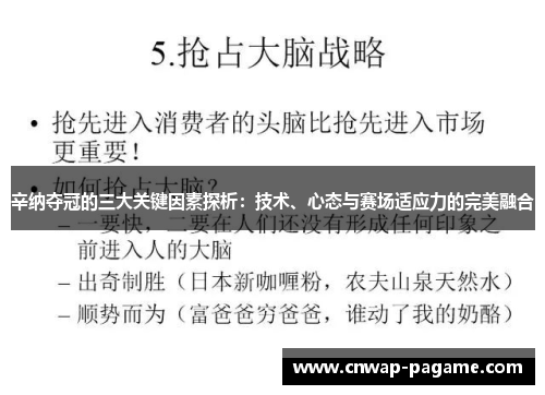 辛纳夺冠的三大关键因素探析：技术、心态与赛场适应力的完美融合