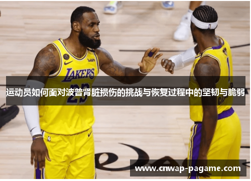 运动员如何面对波普肾脏损伤的挑战与恢复过程中的坚韧与脆弱