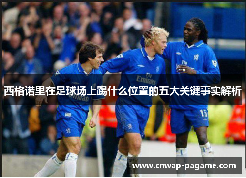 西格诺里在足球场上踢什么位置的五大关键事实解析 西格诺里在足球场上踢什么位置的五大关键事实解析