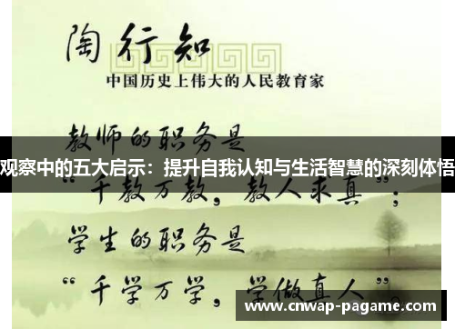 观察中的五大启示：提升自我认知与生活智慧的深刻体悟