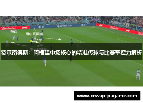 费尔南德斯：阿根廷中场核心的精准传球与比赛掌控力解析
