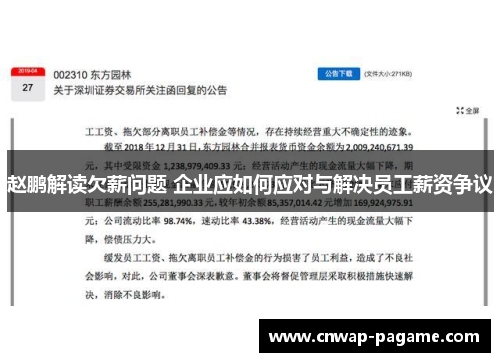赵鹏解读欠薪问题 企业应如何应对与解决员工薪资争议
