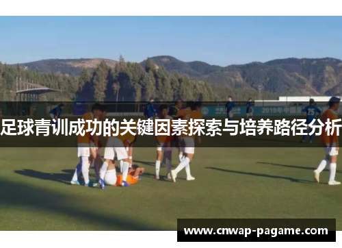 足球青训成功的关键因素探索与培养路径分析