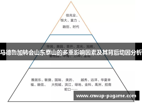 马德鲁加转会山东泰山的多重影响因素及其背后动因分析
