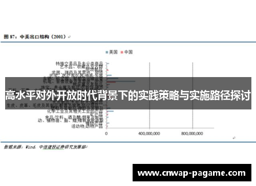 高水平对外开放时代背景下的实践策略与实施路径探讨